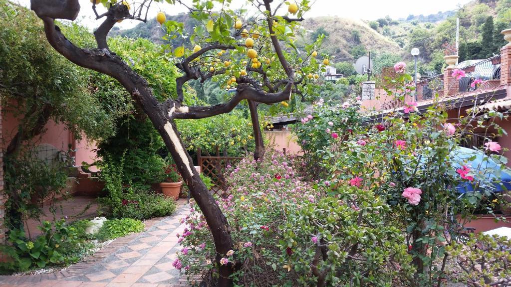 Villa Carmelas Taormina Bagian luar foto